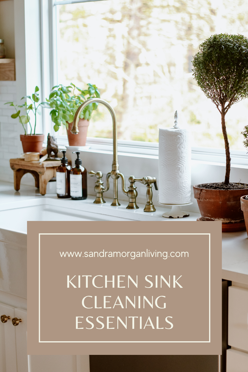 Kitchen Sink Essentials - Cleaning Supplies & Organizing Products